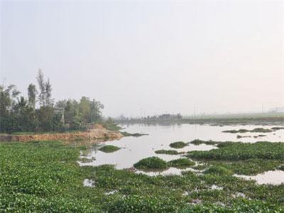 Sông thoát lũ bị "bức tử", người dân hạ nguồn bức xúc