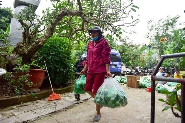 Dân Thủ đô giải cứu quýt sạch cho nông dân Nghệ An - 11