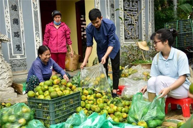 Dân Thủ đô giải cứu quýt sạch cho nông dân Nghệ An - 8