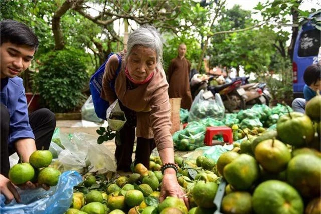 Dân Thủ đô giải cứu quýt sạch cho nông dân Nghệ An - 9