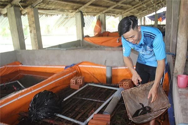 Chàng trai Ngô Chiến Thắng giới thiệu trại nuôi lươn không bùn cho thu nhập cao. Ảnh: B.Nguyên