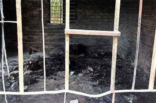 Đau lòng khi bố mẹ kéo các con cùng xuống… địa ngục