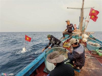 CLIP: Hành trình câu cá mú ngoài khơi vịnh Bắc Bộ