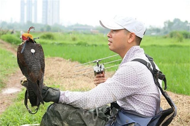 Thú chơi chim ăn thịt đi săn mồi độc đáo ở Hà Nội - 8