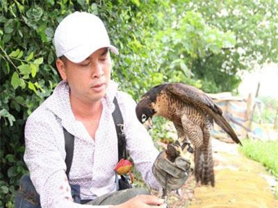 Clip: Thú chơi chim ăn thịt đi săn mồi độc đáo ở Hà Nội