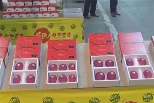 Cặp xoài có giá kỷ lục hơn 100 triệu đồng