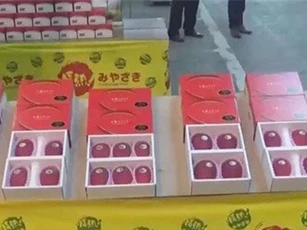 Cặp xoài có giá kỷ lục hơn 100 triệu đồng