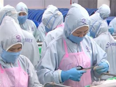 Hoa Kỳ công bố thuế chống bán phá giá tôm Việt Nam về 0%