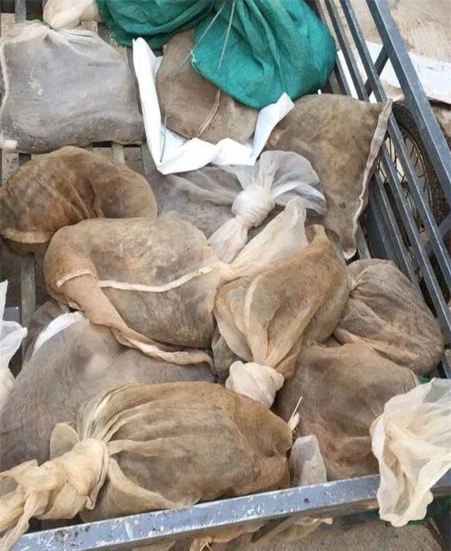 Quảng Trị: Chặn giữ xe kéo vận chuyển 16 cá thể động vật hoang dã