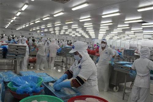 Thuế tôm về 0%, cổ phiếu thủy sản đồng loạt tăng