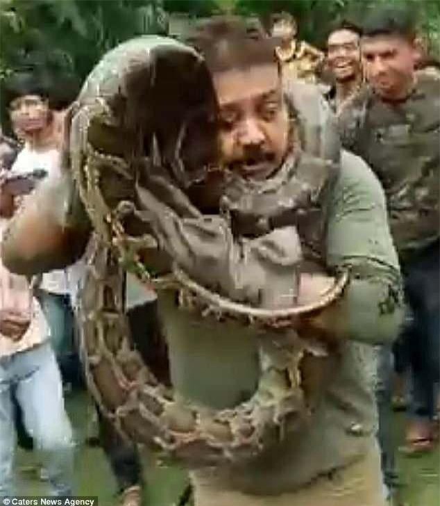 CLIP: Quấn trăn khổng lồ lên cổ selfie và cái kết cực đắng