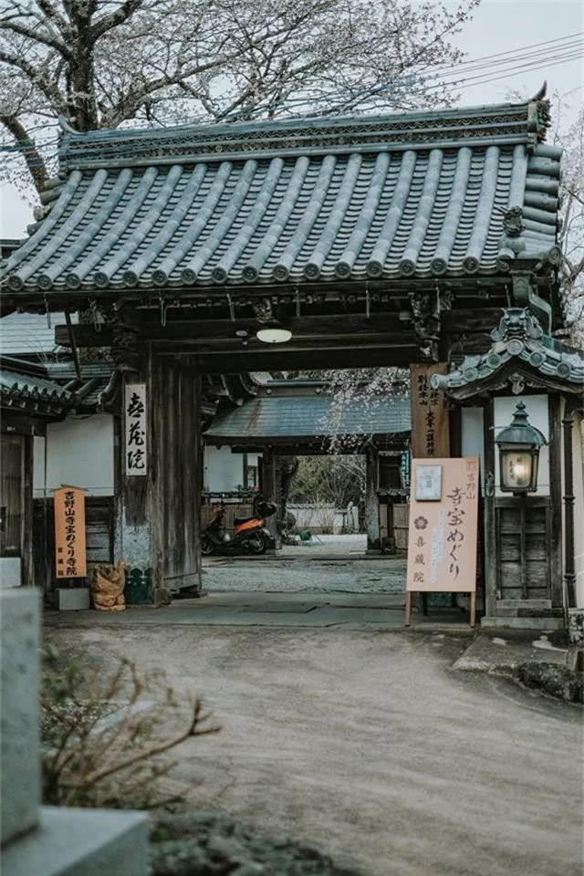 Quên Tokyo hay Kyoto đi, đây mới là nơi có nhiều hoa anh đào nhất Nhật Bản này! - Ảnh 3.