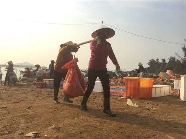 Ngư dân Hà Tĩnh phấn khởi vì trúng đậm sò lụa - 10