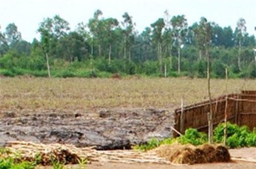 Cà Mau: Tranh chấp đất rừng, 6 người bị đánh bị thương