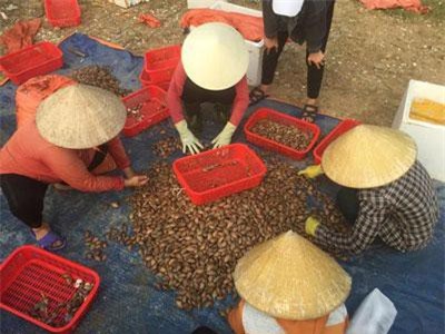 Clip: Ng&#x1B0; d&#xE2;n H&#xE0; T&#x129;nh ph&#x1EA5;n kh&#x1EDF;i v&#xEC; tr&#xFA;ng &#x111;&#x1EAD;m s&#xF2; l&#x1EE5;a