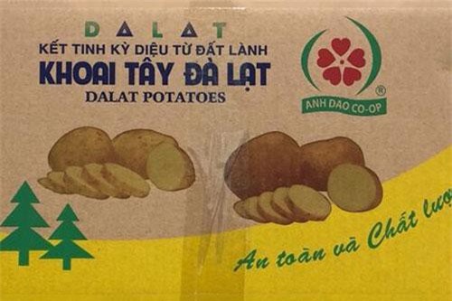 Dán tem cho khoai tây Đà Lạt để tránh hàng Trung Quốc nhập nhèm
