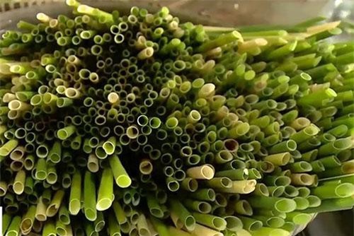 Clip: Thời đại 'ăn nên làm ra' của ống hút hữu cơ