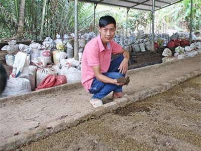 Vĩnh Long: Thạc sỹ 9X bỏ về quê nuôi trùn quế bằng phân bò