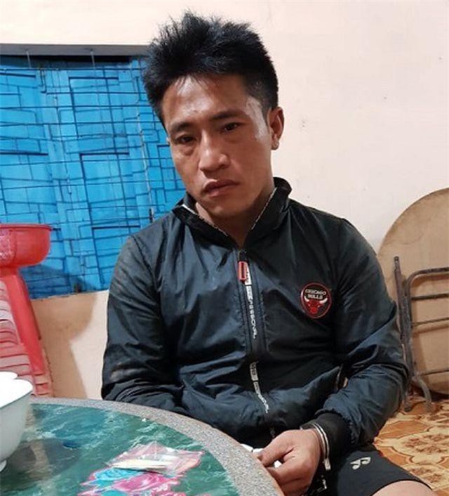 Gia Lai : Khởi tố và bắt giữ đối tượng trong vụ đốn hạ gần 13m3 gỗ quý