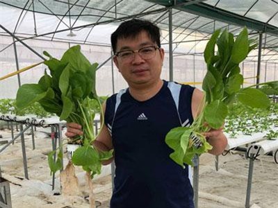 Hà Tĩnh: Trai "liều" đổ cả tiền tỷ chỉ để đi trồng rau