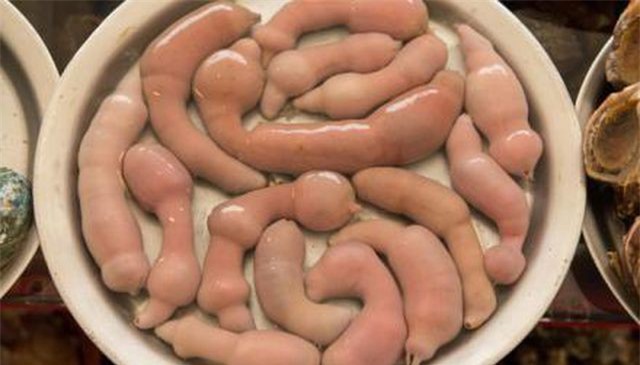 CLIP: Khách “đỏ mặt” khi lần đầu ăn cá dương vật