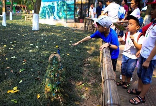 Vườn thú, công viên Hà Nội đông nghịt người trong ngày nghỉ lễ - 2