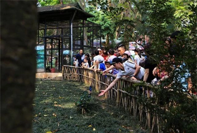 Vườn thú, công viên Hà Nội đông nghịt người trong ngày nghỉ lễ - 6
