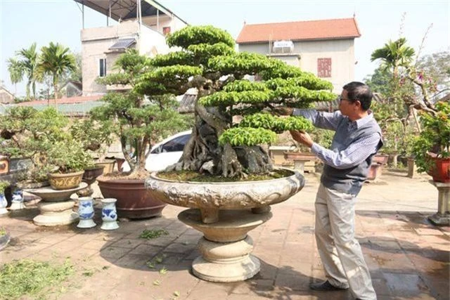 Choáng ngợp những vườn cây triệu đô độc nhất, vô nhị của đại gia Việt - 7