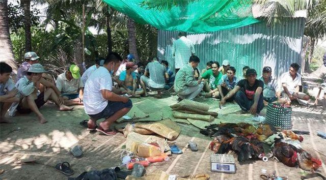 Tiền Giang: Công an nổ súng bao vây trường gà, thu giữ hàng trăm triệu đồng