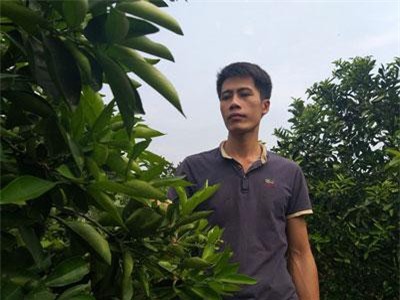 Sơn La: Bỏ lương hơn chục triệu/tháng, trai 8x về làm giàu từ cây ăn quả