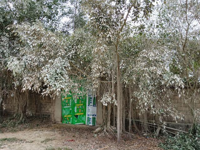 Thanh H&#xF3;a: D&#xE2;n kh&#x1ED1;n kh&#x1ED5; v&#xEC; xe t&#x1EA3;i ch&#x1EDF; &#x111;&#xE1; &#x201C;tra t&#x1EA5;n&#x201D; su&#x1ED1;t ng&#xE0;y &#x111;&#xEA;m