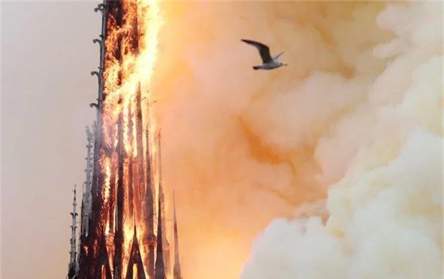 Hiện trường vụ hỏa hoạn kinh hoàng tàn phá nhà thờ Đức Bà Paris - 6