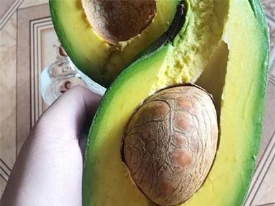 Mẹ đẻ gửi cho ít bơ tẩm bổ, dâu bầu ấm ức vì mẹ chồng chỉ cho ăn 2 quả, còn lại bắt đem bán