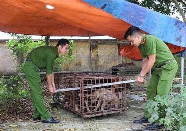 Vụ bé trai 7 tuổi bị chó cắn tử vong: Vẫn đang bàn xử lý trách nhiệm chủ đàn chó