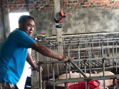 Hà Tĩnh: Phu thê ra giữa đồng làm trang trại