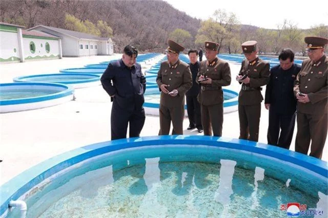 Ông Kim Jong-un thị sát không quân giữa lúc đàm phán bế tắc với Mỹ - 2