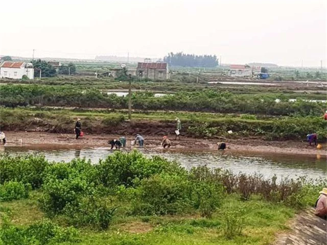 Thực hư thông tin hàng trăm người dân ra đầm “hôi” vạng - 1