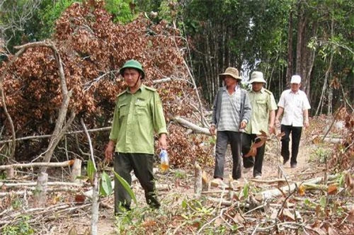 Lực lượng kiểm lâm kiểm tra công tác bảo vệ rừng. Ảnh minh họa: Trang thông tin điện tử Báo Phú Yên.