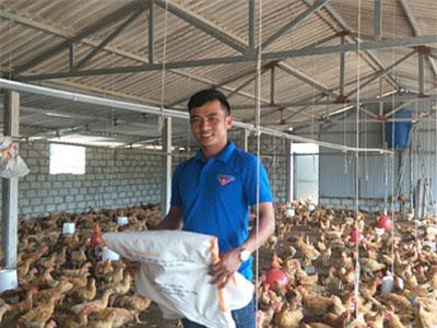 Hà Tĩnh: 9X thôi lang thang về làng nuôi bạt ngàn gà trên cát, lãi 25 triệu/tháng