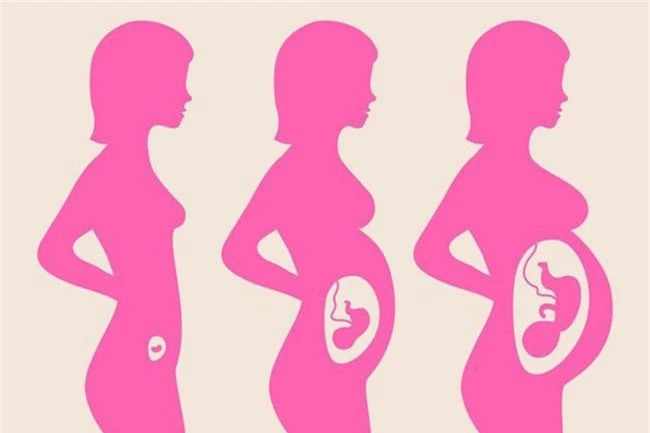 9 sự thật kỳ lạ về việc mang thai chứng minh cơ thể người mẹ quả thực rất tuyệt vời - Ảnh 3.