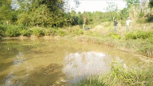 Thanh Hóa: Ra ao tắm, hai anh em sinh đôi cùng bị đuối nước thương tâm