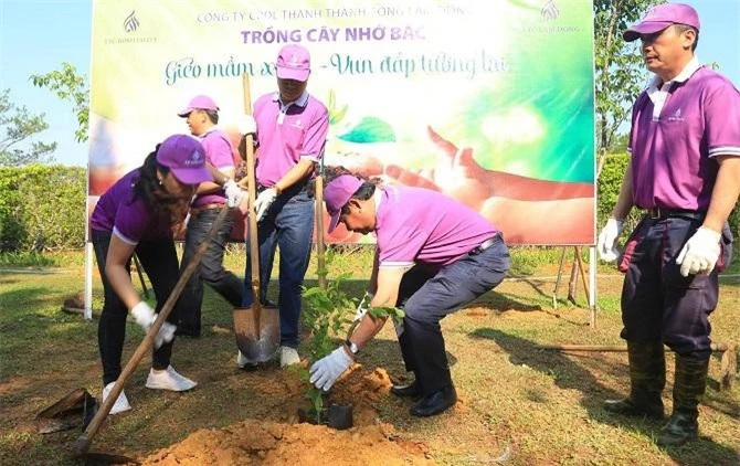 nhóm trồng Mai Anh Đào