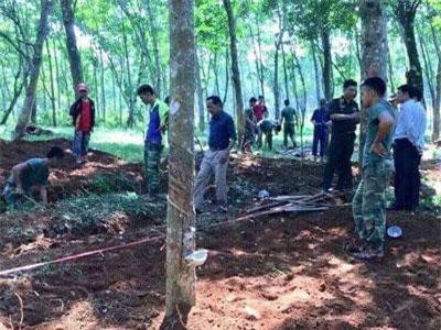 Quảng Trị: Phát hiện, cất bốc và quy tập thêm 6 hài cốt liệt sĩ