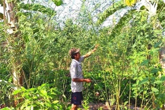 la ma hay: trong bong dien dien thai, 