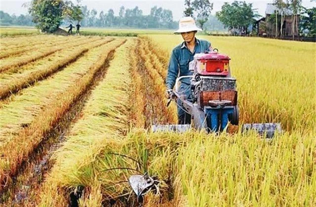 Tăng trưởng thấp nhất 8 năm, sức ỳ của nông nghiệp vốn vẫn là chuyện “cơm bữa” - 1