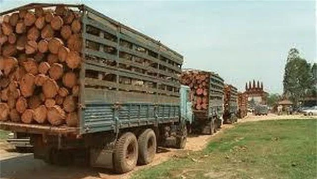 Việt Nam chi tỷ USD nhập lượng lớn gỗ, cao su và hạt điều từ Lào và Campuchia - 1