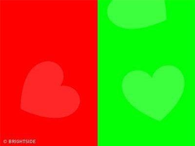 Đáp án câu đố đơn giản nhưng có tới 98% dân số trả lời sai