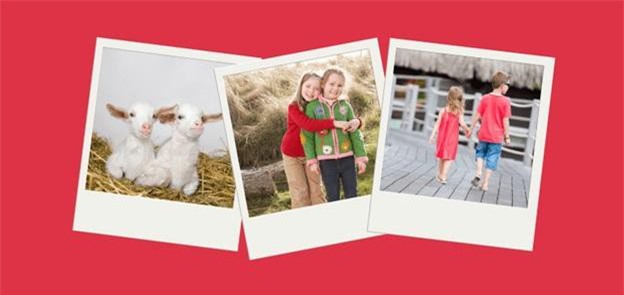 5 công cụ tiện ích của Canva bạn nên biết