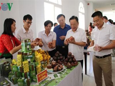 Sơn La phấn đấu xuất khẩu nông sản đạt 150 triệu USD năm 2019