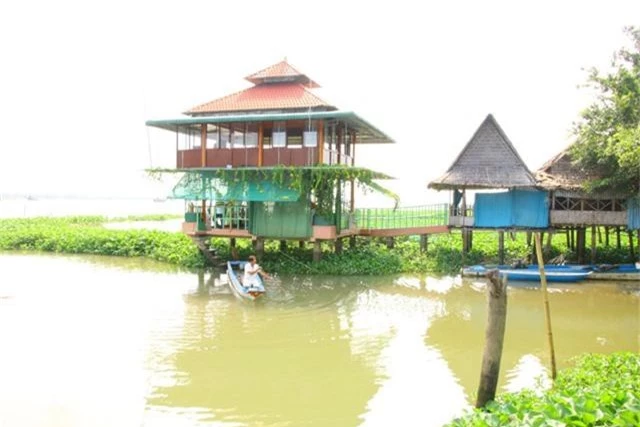 ban ca ngan tan ca ao, van du 10 tan ca song ve nuoi choi hinh anh 1